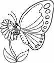 dibujo Mariposa posada en flor
