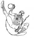 dibujo Spiderman 05